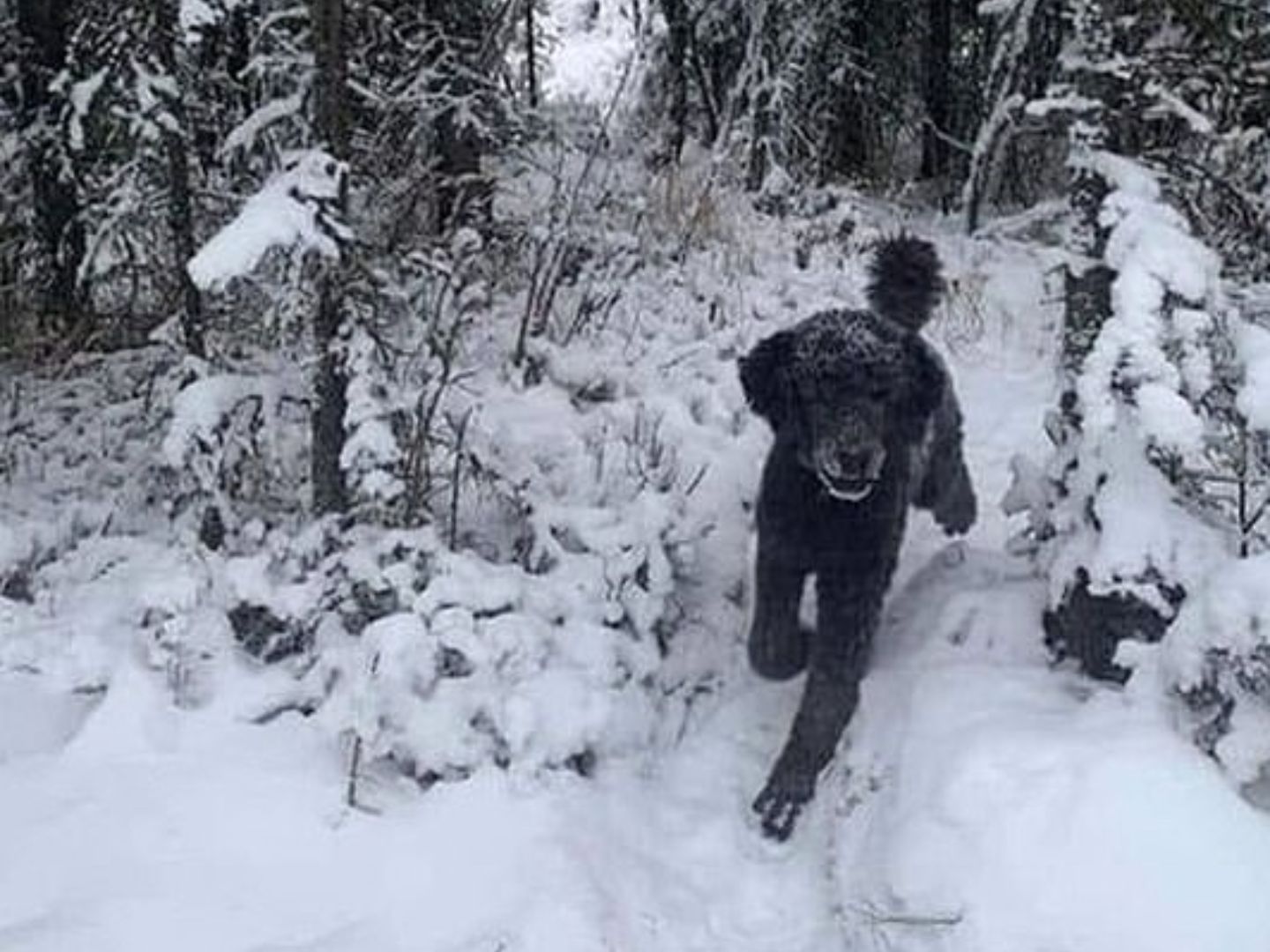 Co widzisz jako pierwsze?