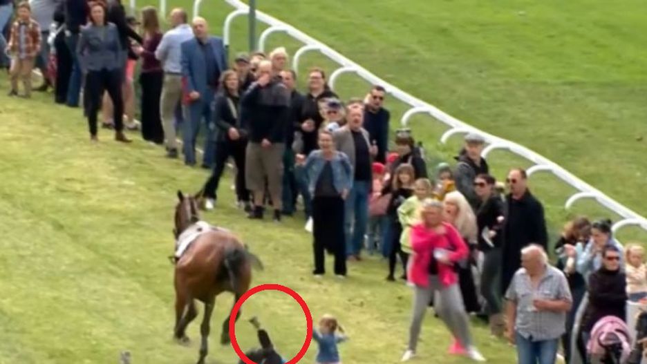 Koń stratował dziecko. Wszystko się nagrało