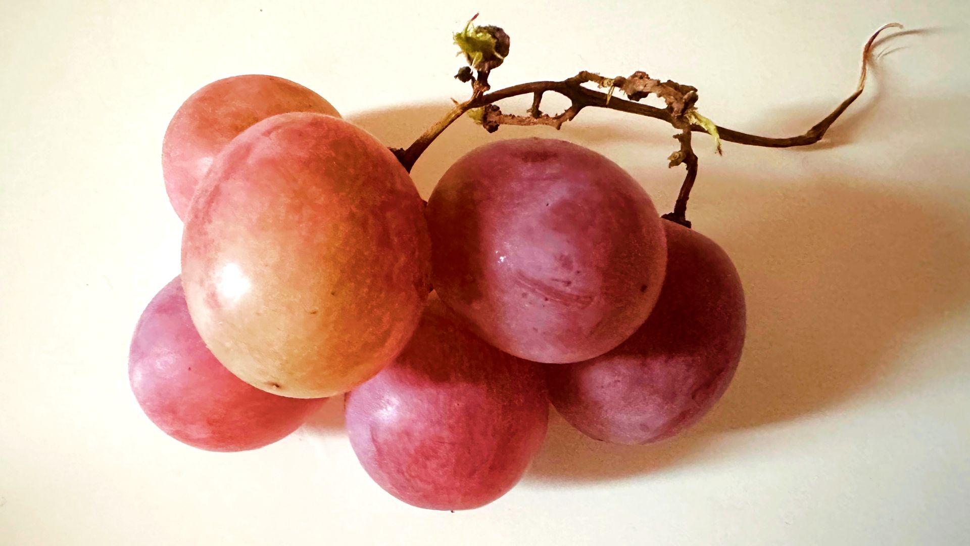 Winogrona działają również ochronnie na mózg, poprzez wspomaganie funkcji poznawczych i pamięci.