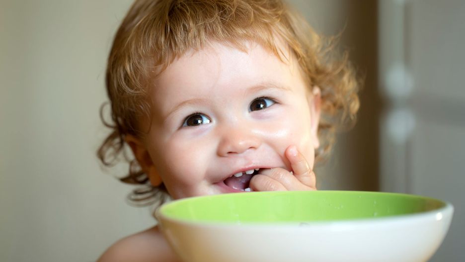 Gotowe posiłki dla dzieci mogą być zanieczyszczone ołowiem