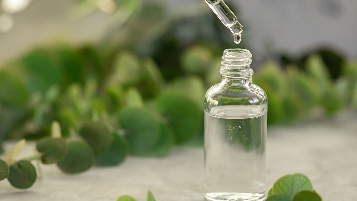 Olejek eukaliptusowy znalazł zastosowanie w aromaterapii i medycynie naturalnej.