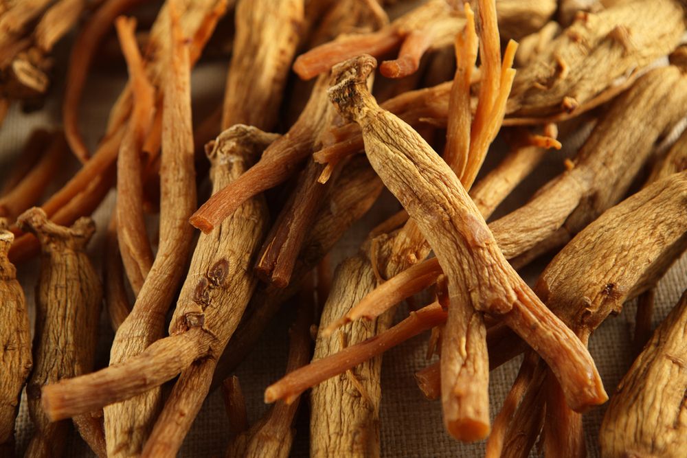 Jakie właściwości ma żeń-szeń?