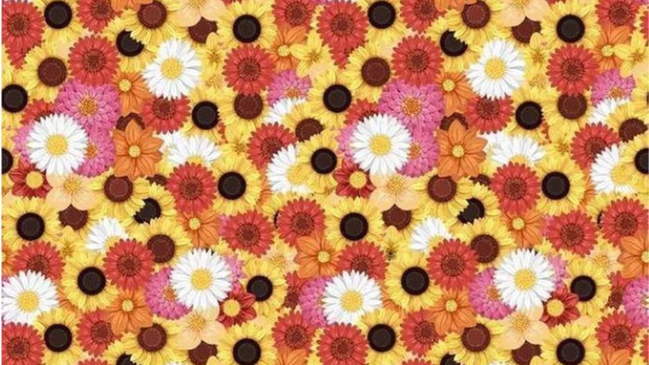 Arcytrudny test na spostrzegawczość. Dzieci rozwiązują go szybciej