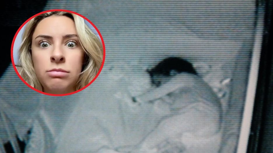 Elektroniczna niania uchwyciła przerażający moment. Mama była w szoku