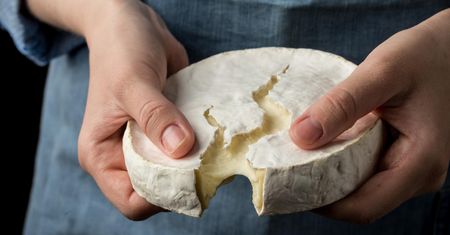Zmarł po zjedzeniu sera. Dwie kolejne osoby z objawami zatrucia