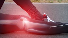 Ból kolana może być objawem wielu chorób. Czy to borelioza? (WIDEO)