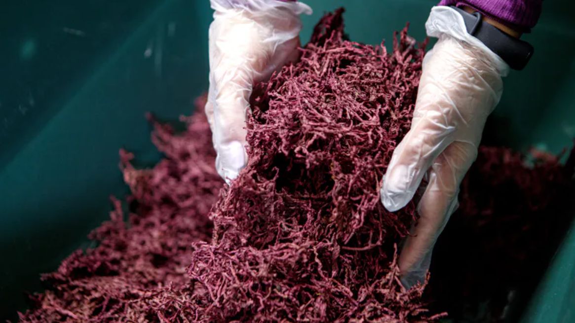 Najlepsze warzywa w walce z cukrzycą