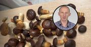 Najzdrowsze polskie grzyby. Zawierają "witaminę długowieczności"