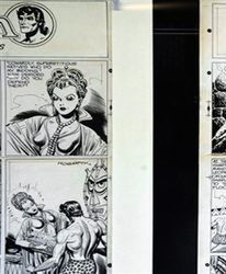 Szaleństwo, czy pomysł na dobrą pracę?