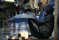 Na żebraniu można zarobić nawet 1000 zł