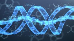 Genom - co wiemy o kompletnym zestawie informacji genetycznej?