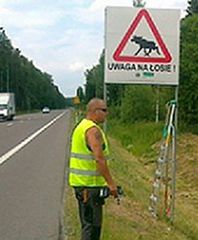 Jedź łośtrożnie