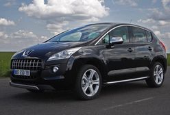 O lwie, który walczy z większymi