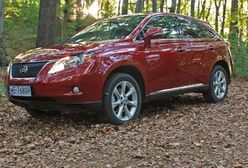 Prawie terenowy ale luksusowy