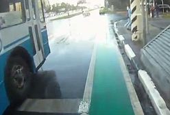 Pierwsza ścieżka rowerowa w Moskwie