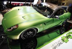 Legenda gra w zielone