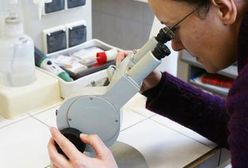 Już wiemy, które płyny są odporne na mróz