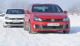 Raport z lodowej krainy