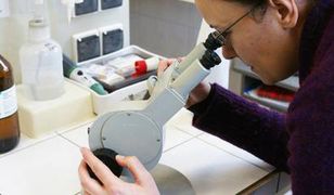 Już wiemy, które płyny są odporne na mróz