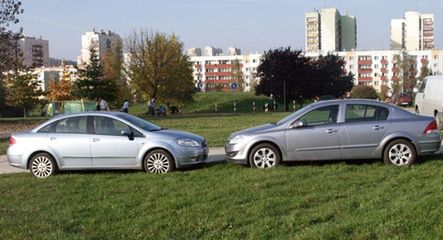 Niemka czy Włoszka?