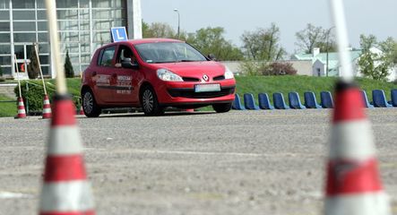 Zatrzymani ws. korupcji w ośrodkach ruchu drogowego