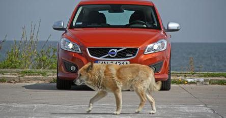 Volvo goni najlepszych