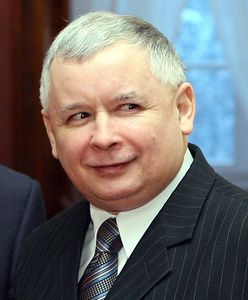 PO nadal wyprzedza PiS