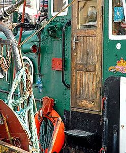 Komisja Europejska chce chronić dorsze