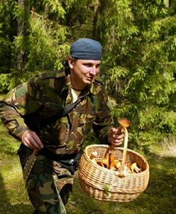 Grzybiarze nielegalnie zapuszczają się w niemieckie lasy