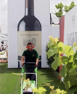 Międzynarodowe Targi Wina we Francji