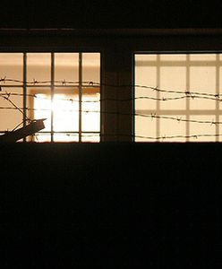 Zapłacą więźniowi odszkodowanie za karaluchy w celi