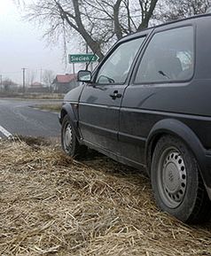 Litwa wprowadziła zakaz importu żywego drobiu z Polski