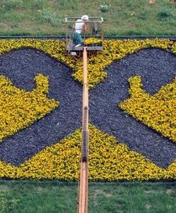 Zysk netto Raiffeisen Polbank w '13 r. wyniósł 129,3 mln zł