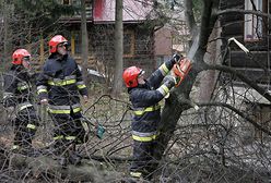 Zniszczenia po przejściu halnego