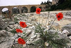 Siedem osób zmarło z powodu upału