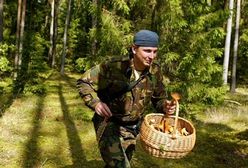 Grzybiarze nielegalnie zapuszczają się w niemieckie lasy