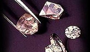 Kradzież stulecia w Gdańsku