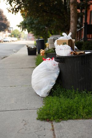 Ekologiczna niedziela w mieście śmieci