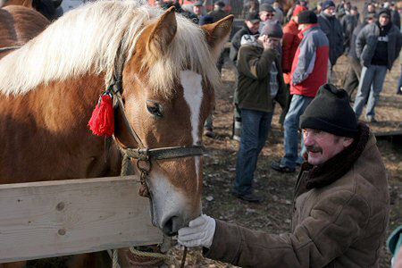 1000 koni na skaryszewskich "Wstępach"