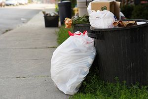 Ekologiczna niedziela w mieście śmieci