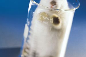 Polacy jako "króliki doświadczalne" przy badaniach leków