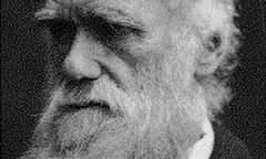 Amerykanie nie wierzą Darwinowi