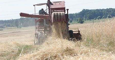 Słońce ostro pali, rolnicy liczą straty