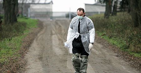 Nie ma kolejnego ogniska wirusa H5N1 w Polsce