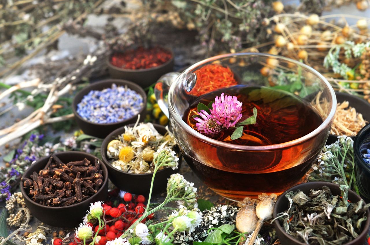 Ekstrakty roślinne – pozyskiwanie, właściwości, wykorzystanie