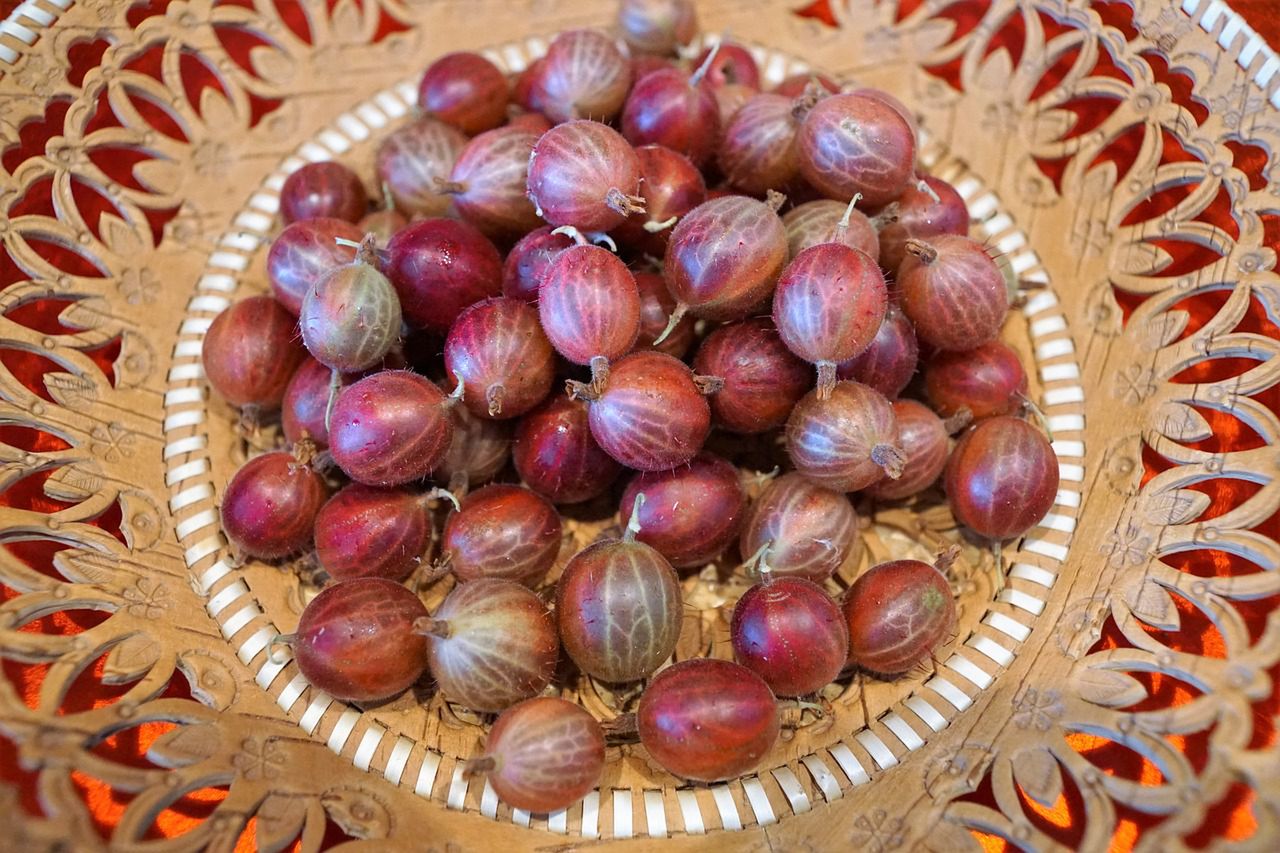 Agres jest skarbnicą przeciwutleniaczy