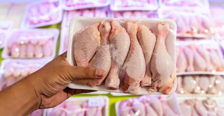 Duże wycofanie mięsa z Auchan. Chodzi o ptasią grypę
