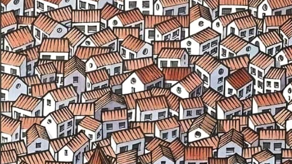 Gdzie ukrył się kot? Najlepsi znajdują w 15 sekund