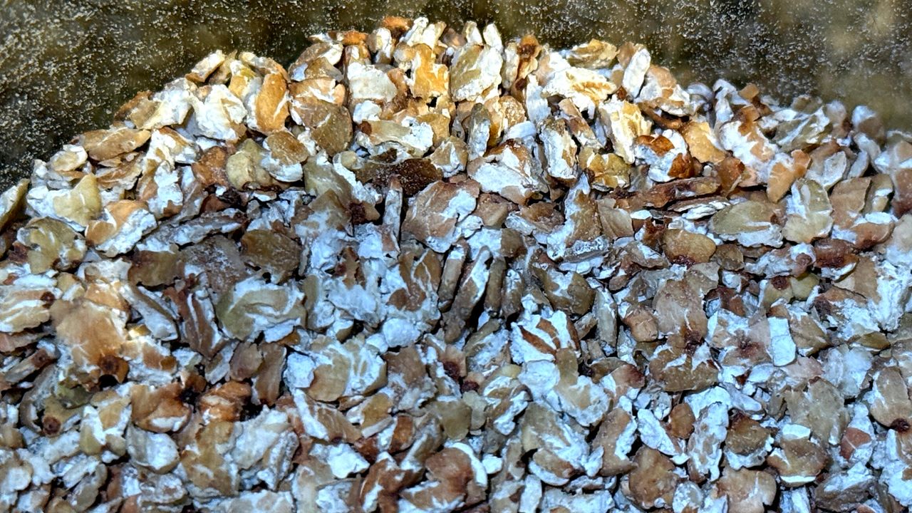 Mają mało kalorii i nie zawierają glutenu. Płatki gryczane obniżają cukier i cholesterol