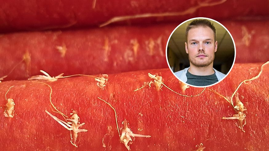 Naturalna broń antynowotworowa. Każdy z nas ma ją w lodówce